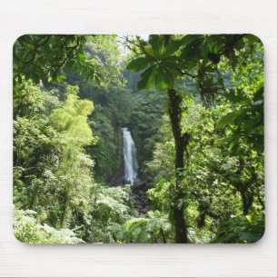 Trafalgar Falls Tropical Rainforest Fotografie Mousepad