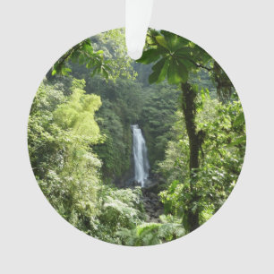 Trafalgar Falls Tropical Rainforest Fotografie Ornament
