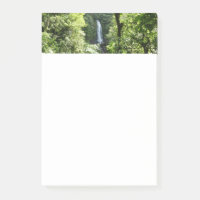 Trafalgar Falls Tropical Rainforest Fotografie