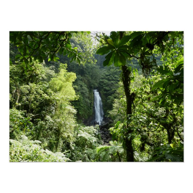 Trafalgar Falls Tropical Rainforest Fotografie Poster (Vorderseite)