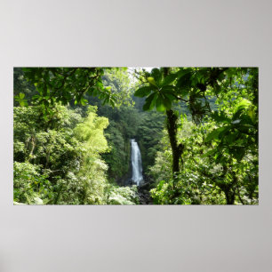 Trafalgar Falls Tropical Rainforest Fotografie Poster