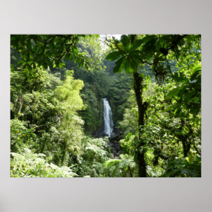 Trafalgar Falls Tropical Rainforest Fotografie Poster