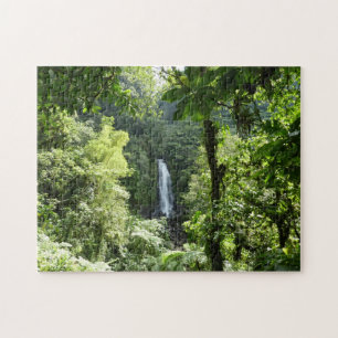 Trafalgar Falls Tropical Rainforest Fotografie Puzzle