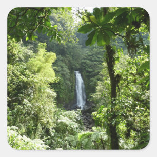 Trafalgar Falls Tropical Rainforest Fotografie Quadratischer Aufkleber
