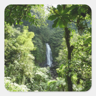 Trafalgar Falls Tropical Rainforest Fotografie Quadratischer Aufkleber