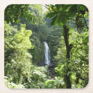 Trafalgar Falls Tropical Rainforest Fotografie Rechteckiger Pappuntersetzer