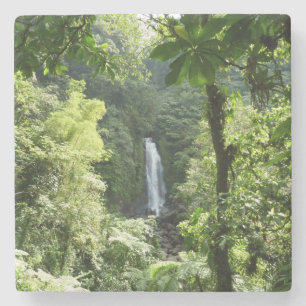 Trafalgar Falls Tropical Rainforest Fotografie Steinuntersetzer