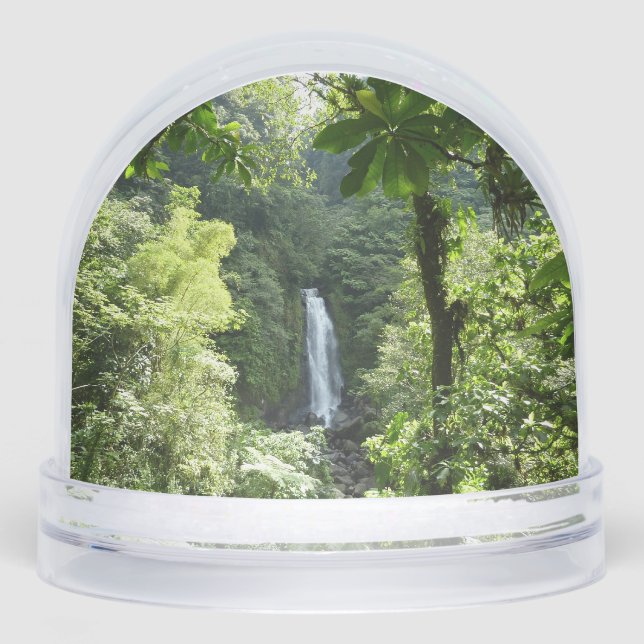Trafalgar Falls Tropical Rainforest Photography Schneekugeln (Vorderseite)