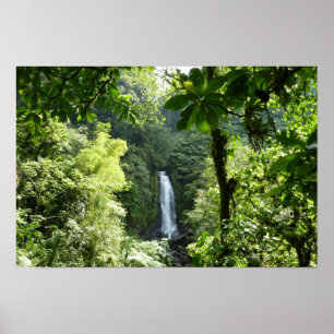 Trafalgar Falls Tropischer Regenwald Fotografie Poster