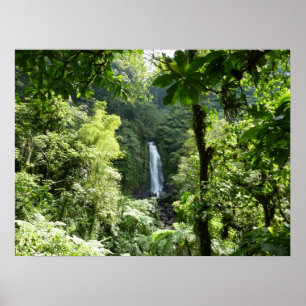 Trafalgar Falls Tropischer Regenwald Fotografie Poster