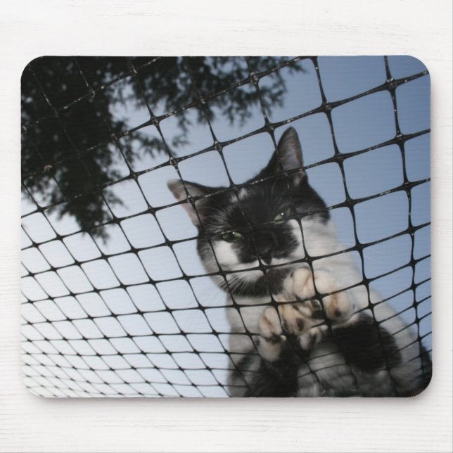 Tragen Sie die Katze am Sonnenuntergang Mousepad (Vorne)