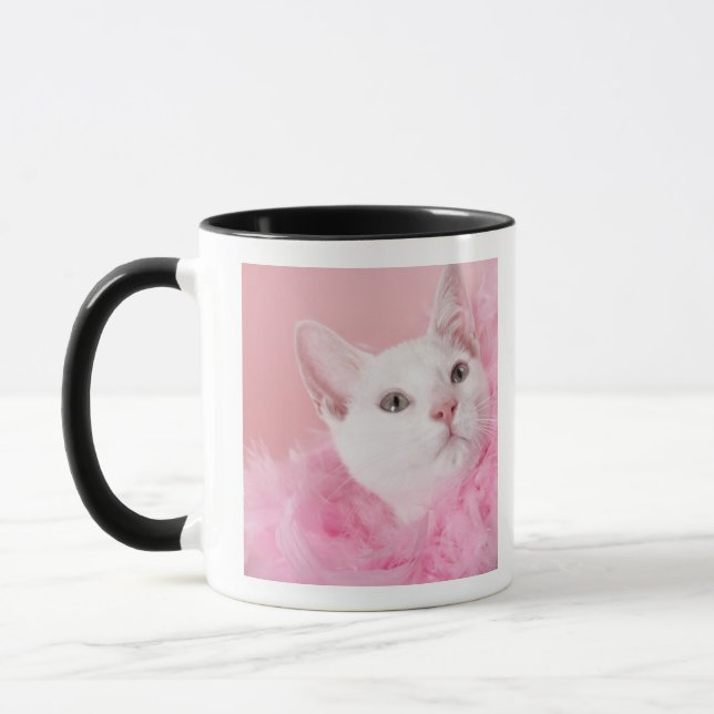 Tragende Federboa der Katze Tasse (Links)