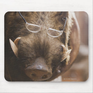 tragende Gläser eines angefüllte wilden Ebers Mousepad