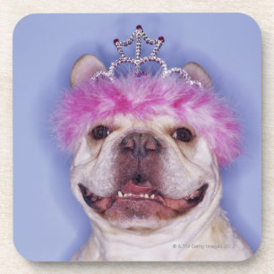 Tragende Tiara der Bulldogge Getränkeuntersetzer