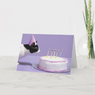 Tragender Geburtstagshut der Katze, der heraus Karte