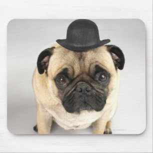 Tragender Werfer der französischen Bulldogge, Mousepad