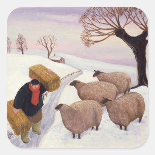 Tragendes Heu zu den Schafen im Winter Quadratischer Aufkleber