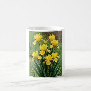 Trägheit Kaffeetasse