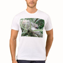 Trägheit mit stilisiertem hinterem pix