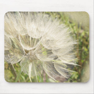 Tragopogon dubius - Gelber Ziegenbart Mousepad