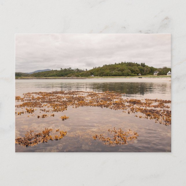 Traigh Beach Postkarte (Vorderseite)