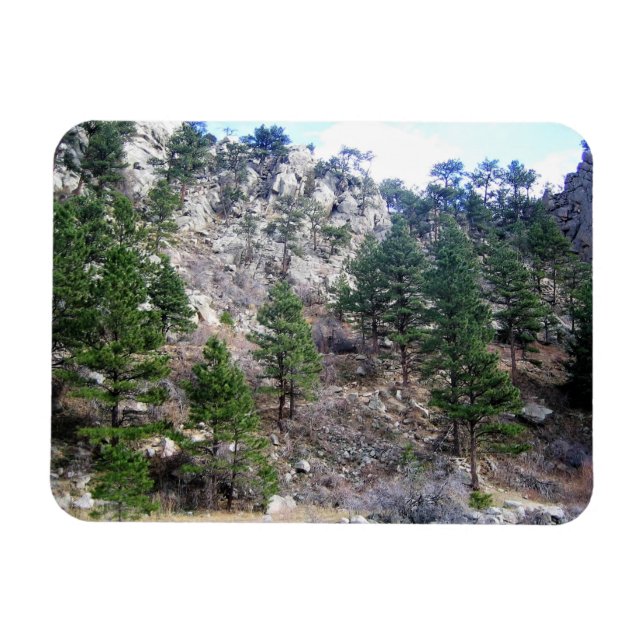 Trail in Jefferson County, Colorado Magnet (Horizontal)