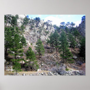 Trail in Jefferson County, Colorado Poster