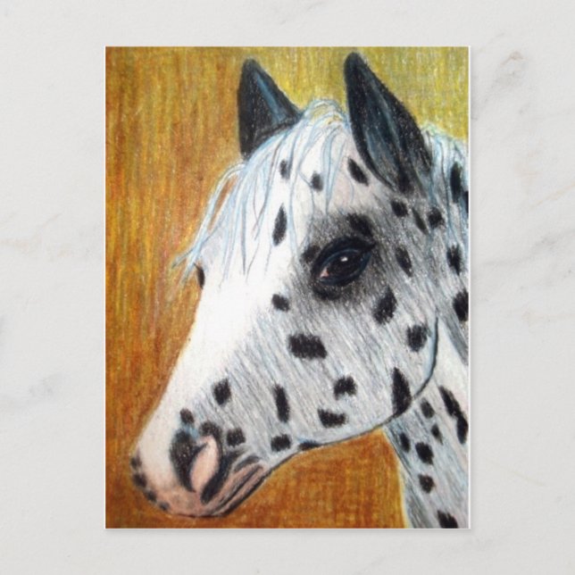 "Trail Ride" Appalloosa Pferd Postkarte (Vorderseite)