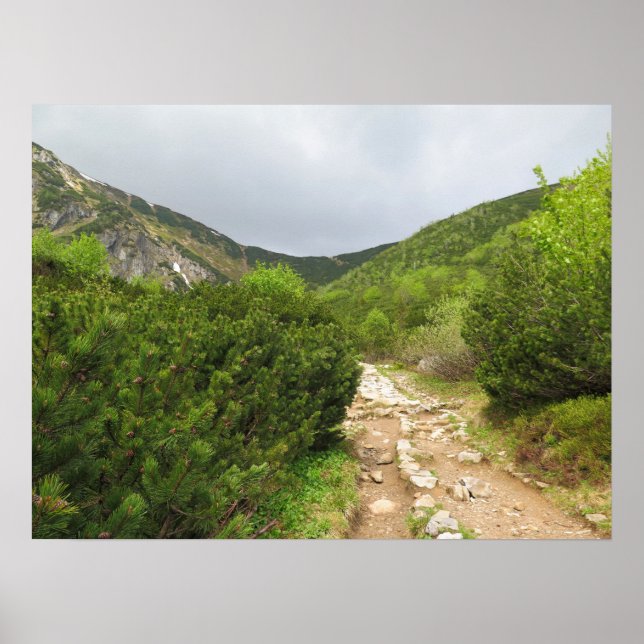 Trail - Tatras Slowakei Poster (Vorne)