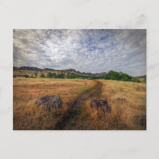 Trailhead, Upper Bidwell Park, Chico, Ca Postkarte (Vorderseite)