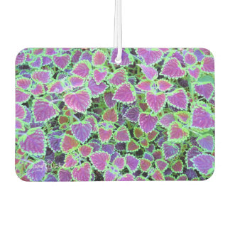 Trailing Burgundy Coleus Autolufterfrischer