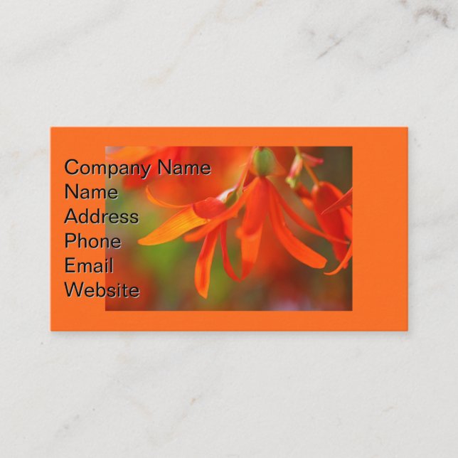 Trailing Orange Begonia Visitenkarte (Vorderseite)
