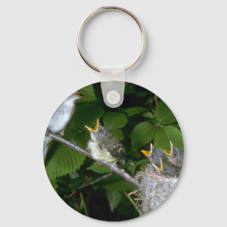 Traill's Flycatcher mit jung Schlüsselanhänger