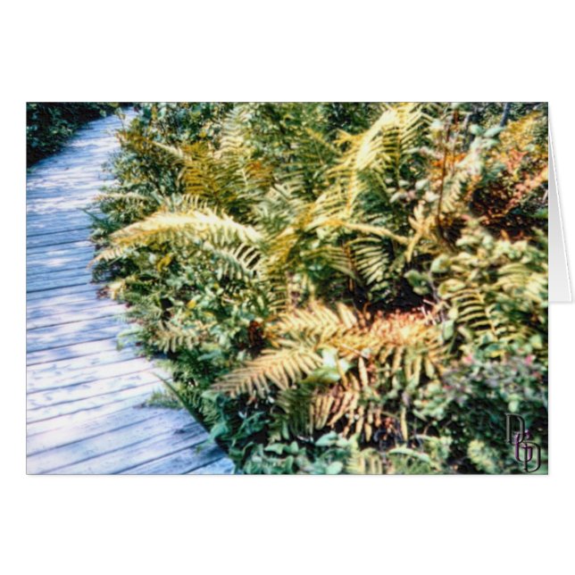 Trailside Flora (Vorderseite (Horizontal))