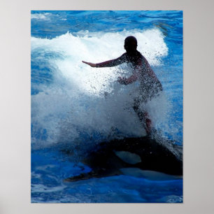 Trainer riding on killer whale orca photograph poster