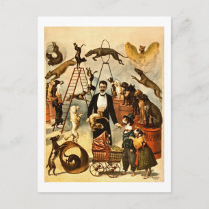 Trainierter Hund Akt 1899 Vintage Zirkus Akt Plaka Postkarte