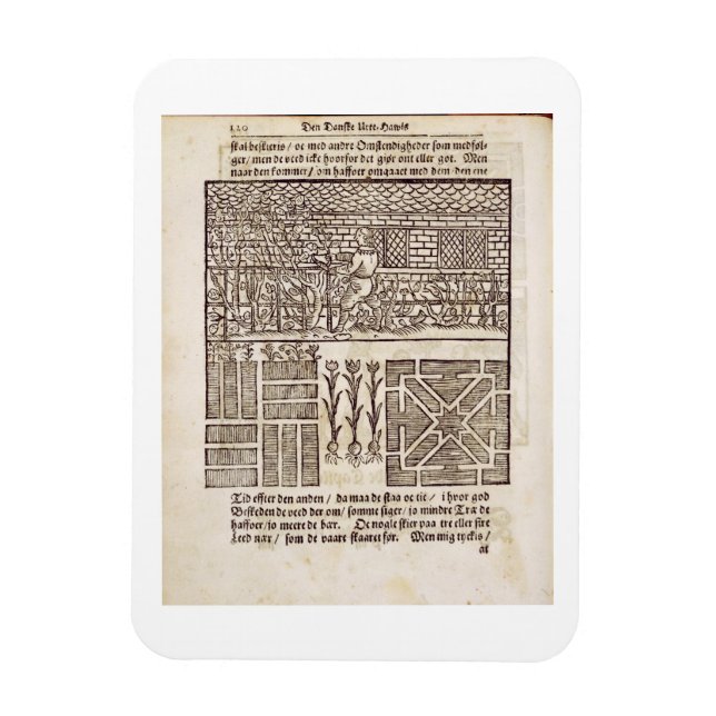 Training und Pflanzung im Garten, von 'The Dut' Magnet (Vertikal)