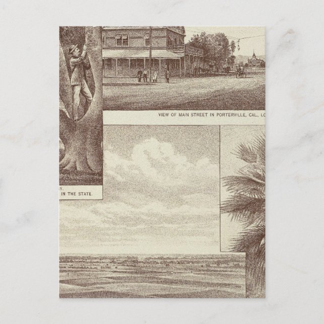 Trakt Pioneer Land Co, Porterville Postkarte (Vorderseite)