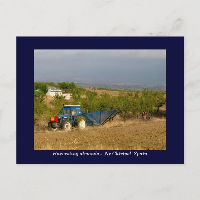 Traktor Ernte Mandeln ländliche Spanien Postkarte (Vorderseite)