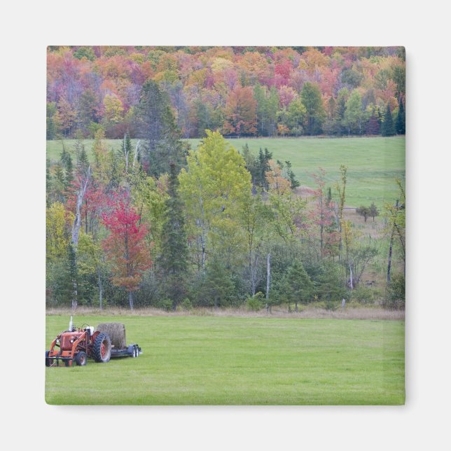 Traktor mit Heuballen auf grünem Feld mit Magnet (Vorne)