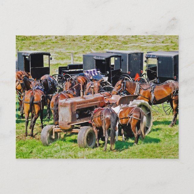 Traktor wie Postkarte (Vorderseite)