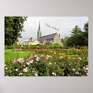 Tralee, Ireland Rose Garden Poster