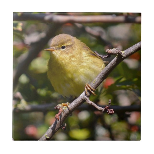 Trällerer Fliese/Trivet Fliese (Vorderseite)