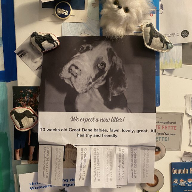 Träne aus Flyer Welpe verkaufen rot grün (Von Creator hochgeladen)