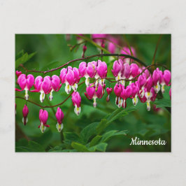 Tränenherzen-Postkarte Postkarte