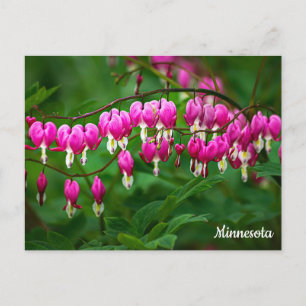 Tränenherzen-Postkarte Postkarte
