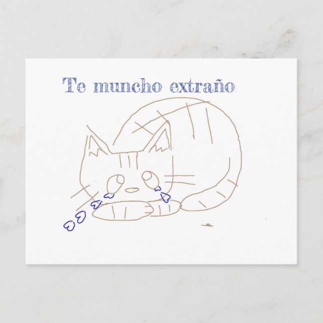 Tränenkatze Postkarte (Vorderseite)