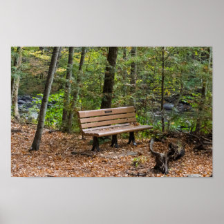 Tranquil Forest Bench in Autumn Poster