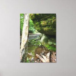 Tranquil Forest Canvas Print | Real Landscape Leinwanddruck
