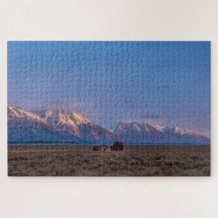 Tranquil Grand Tetons Puzzle